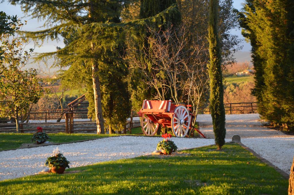 Agriturismo La Collina Pitigliano Room photo