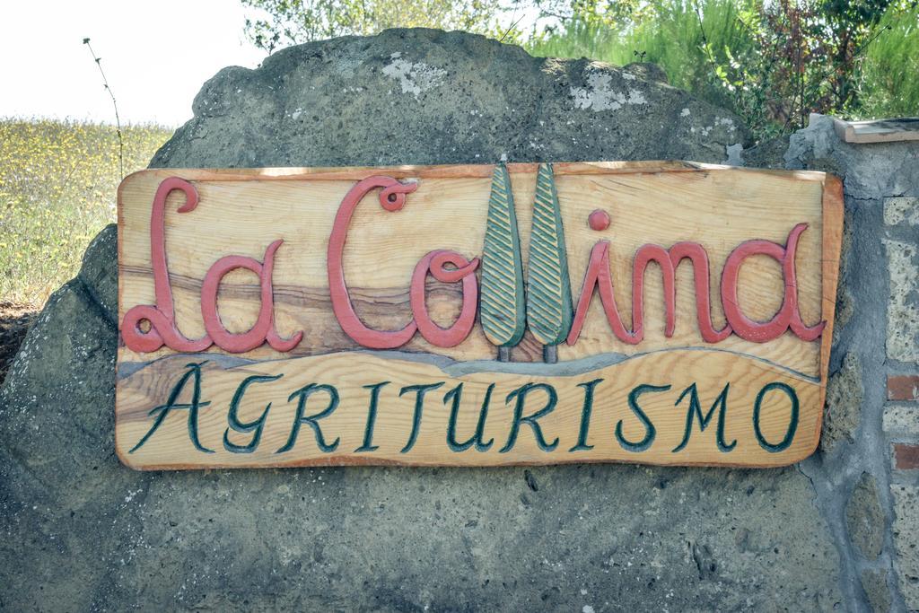Agriturismo La Collina Pitigliano Exterior photo